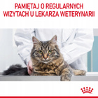 ROYAL CANIN Feline Care Nutrition - Hairball Care - Wet Gravy 12 x 85 g