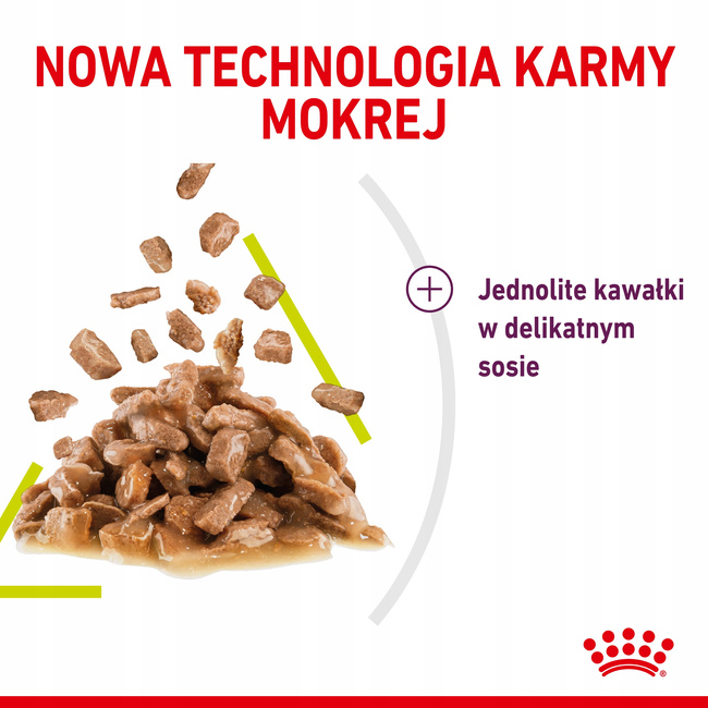 ROYAL CANIN Sensory Smell Gravy karma mokra w sosie dla kota 24 x 85g