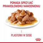 ROYAL CANIN Hair&Skin Care Gravy karma mokra w sosie dla kota 24 x 85g